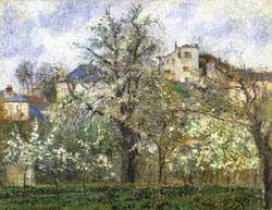 Camille Pissarro Vegetable Garden and Trees in Flower Spring France oil painting art
